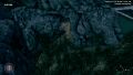 Cavepicture1.jpg
